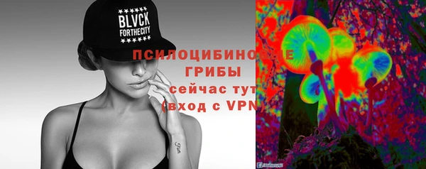 гидра Армянск