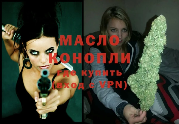гидра Армянск