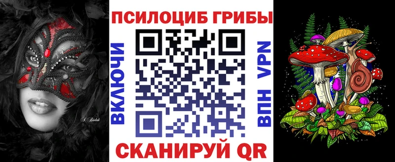 закладка  Пудож  Галлюциногенные грибы Magic Shrooms 