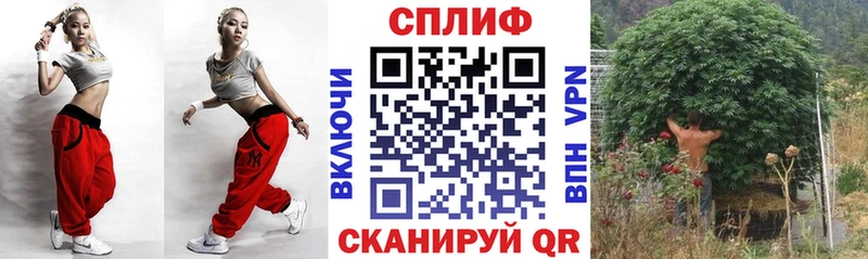 OMG онион  Пудож  Шишки марихуана индика 
